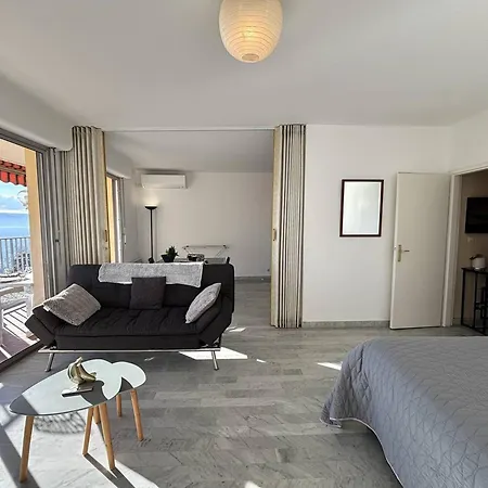 Apartment Avec Terrasse, Climatise A Ajaccio - Fr-1-61-649 *