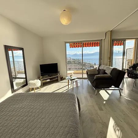 Apartment Avec Terrasse, Climatise A Ajaccio - Fr-1-61-649